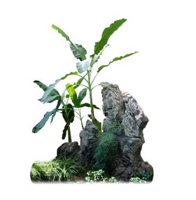 假山