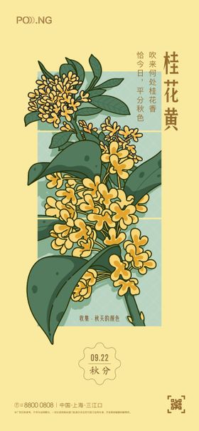 秋分桂花插画海报