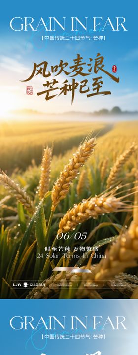 地产芒种节气海报二十四房稻田小麦