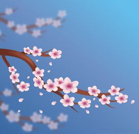 樱花AI矢量图植物卉AI设计素材树