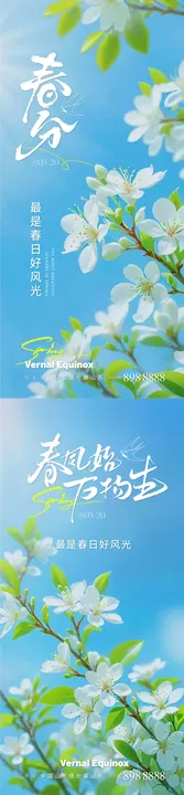 春日花开系列海报樱二十四节气梨