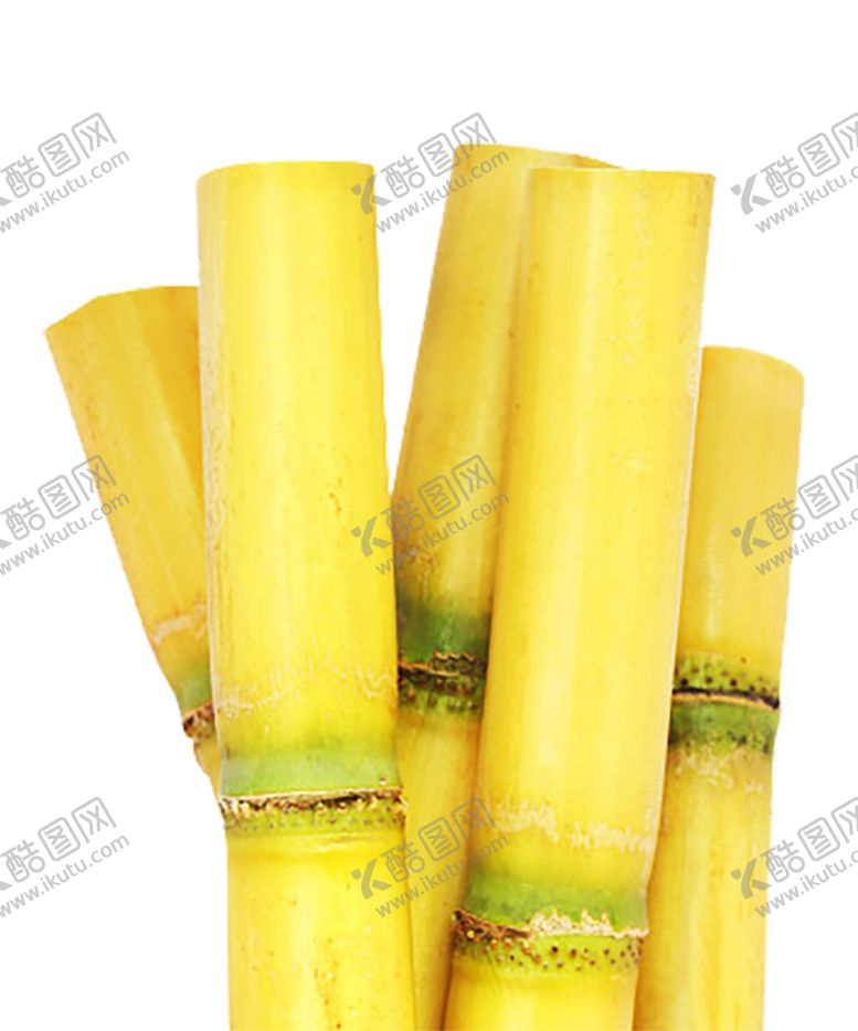 编号：27445709101243448004【酷图网】源文件下载-水果