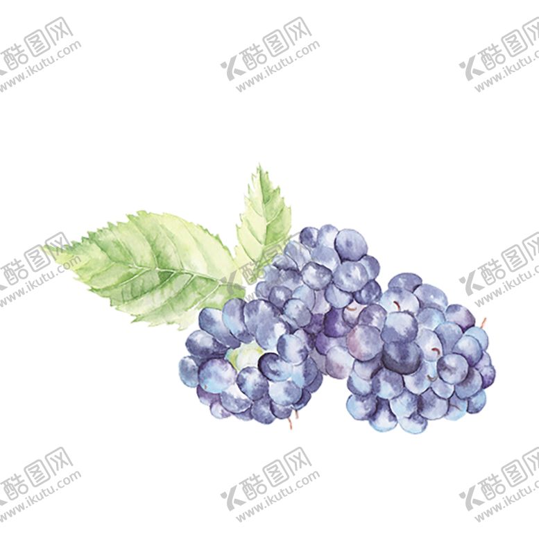 编号：13720109271200588002【酷图网】源文件下载-水果