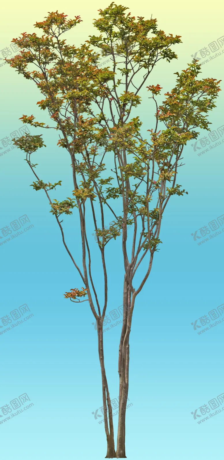 编号：57296010041017352791【酷图网】源文件下载-姫沙罗