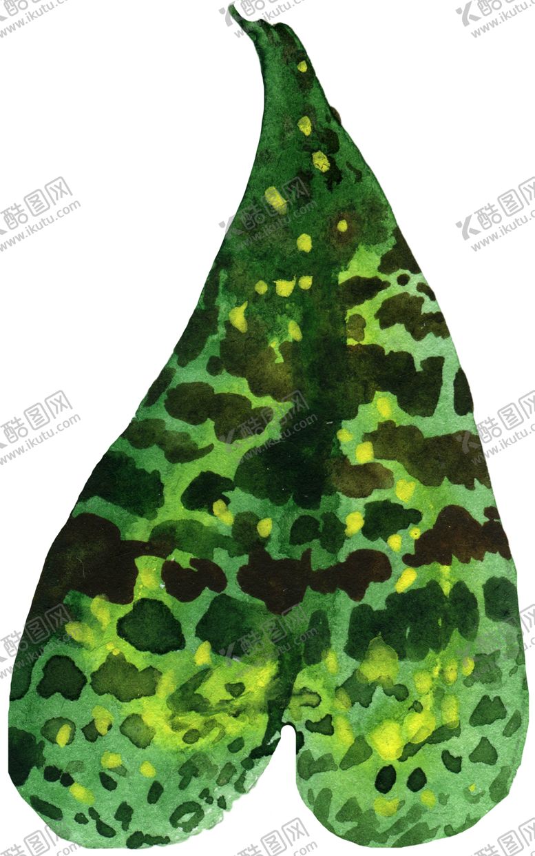 编号：18767610040700081684【酷图网】源文件下载-手绘植物叶片