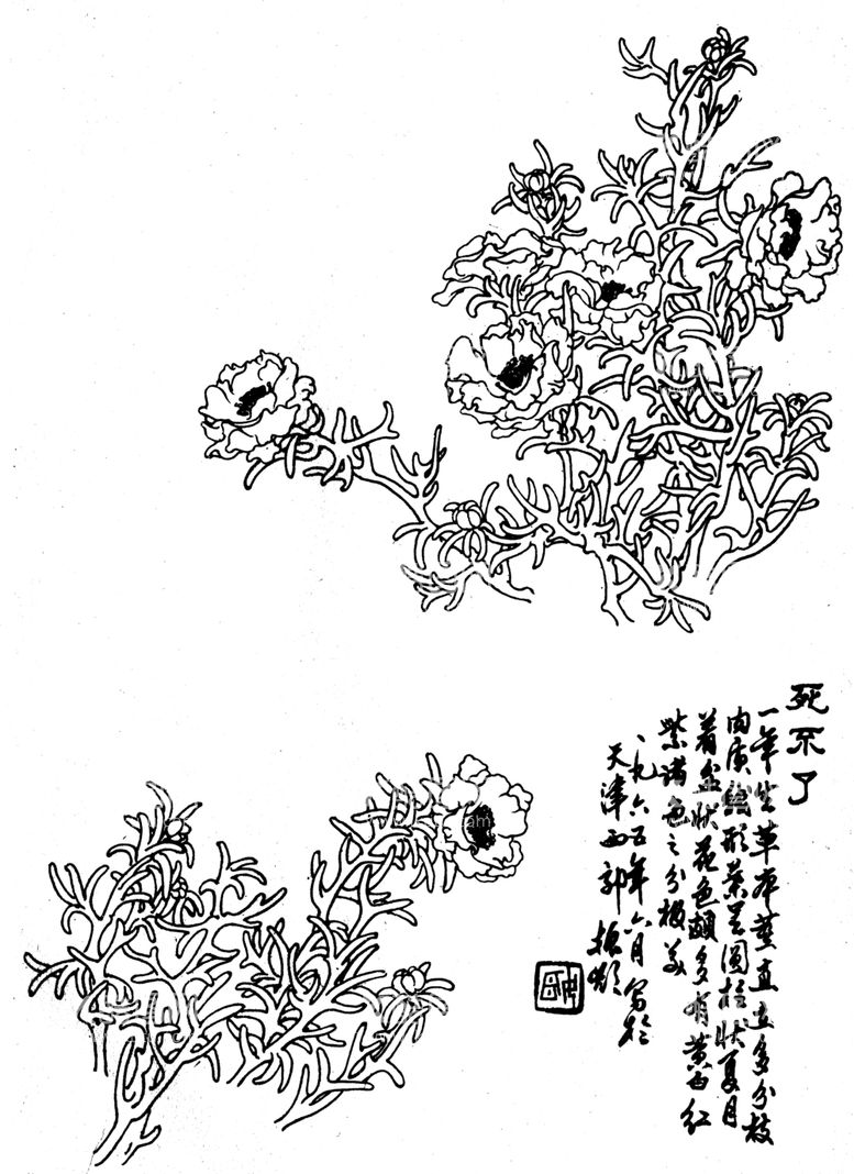 编号：75870212211850141813【酷图网】源文件下载-死不了