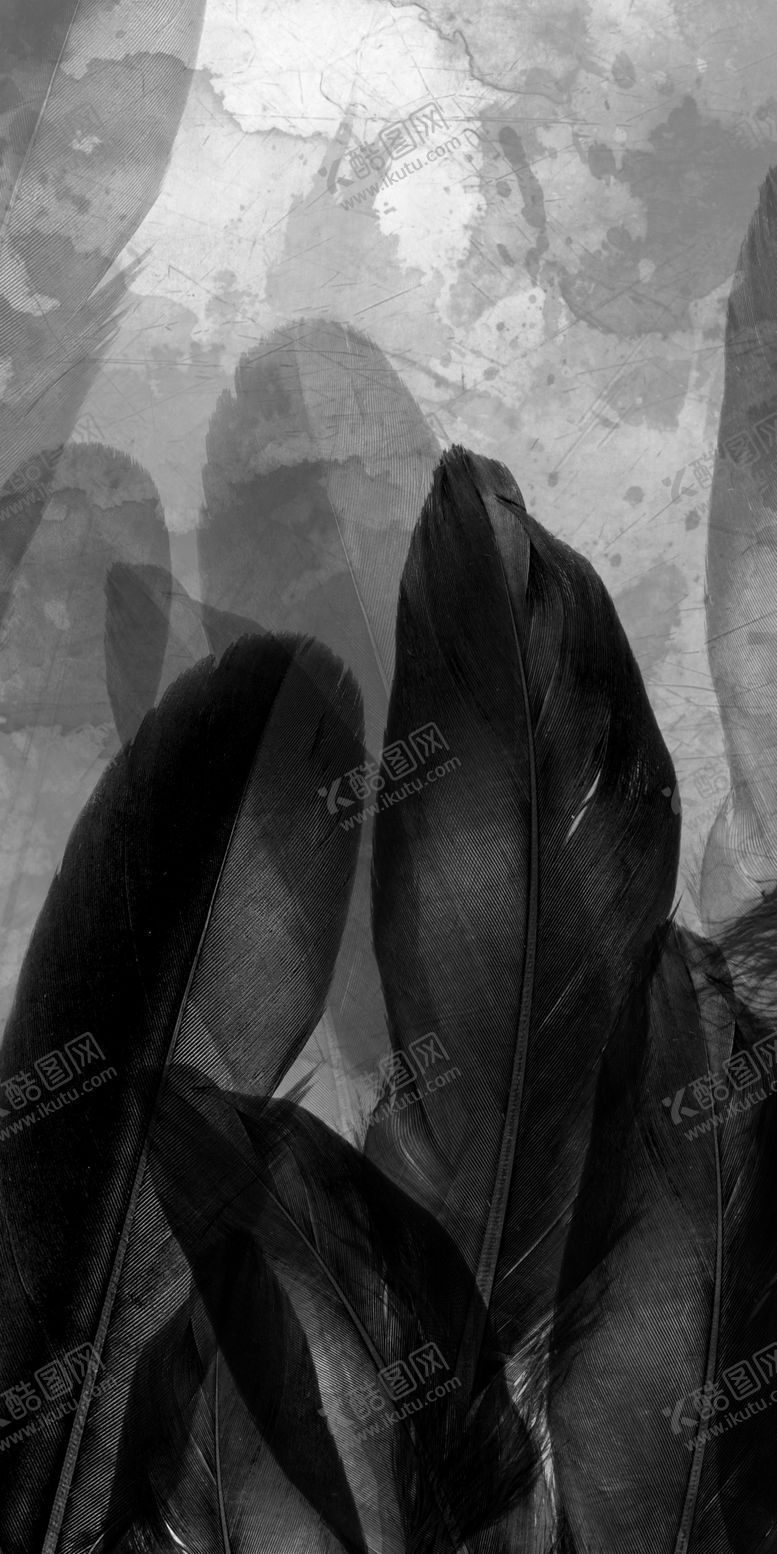 编号：88783209261022085806【酷图网】源文件下载-玄关画