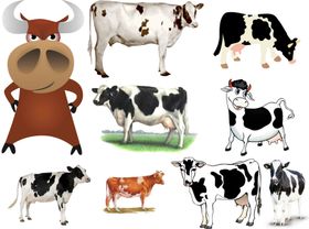 奶牛png免扣高清素材