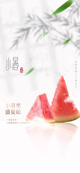 夏至小暑大暑海报图片