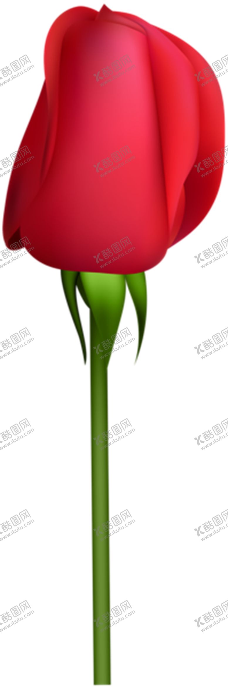 编号：22158004282253189523【酷图网】源文件下载-玫瑰