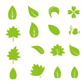 植物叶子矢量图