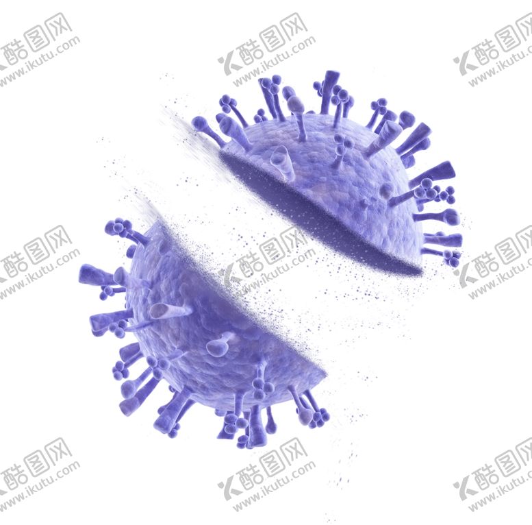 编号：22666101290846164314【酷图网】源文件下载-切开的细菌