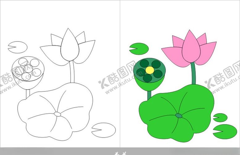编号：56744109221848263649【酷图网】源文件下载-荷花
