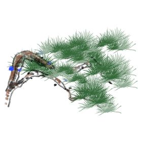 水墨中国风迎客松