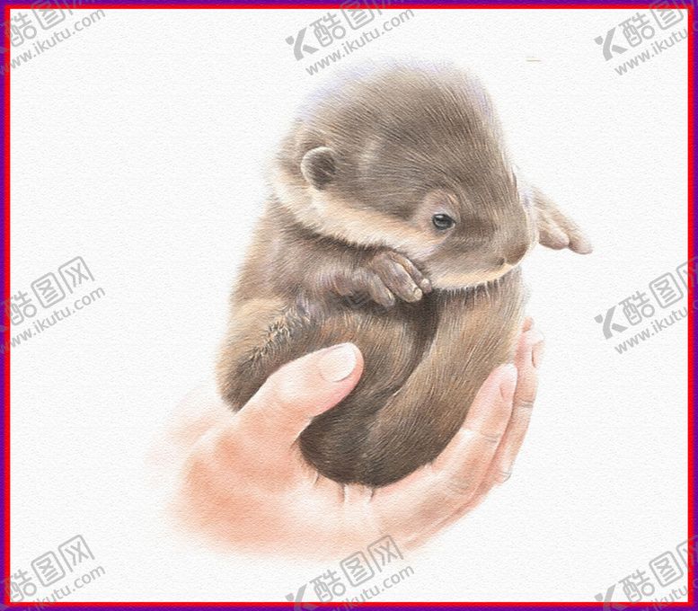 编号：30805209282016505339【酷图网】源文件下载-松鼠