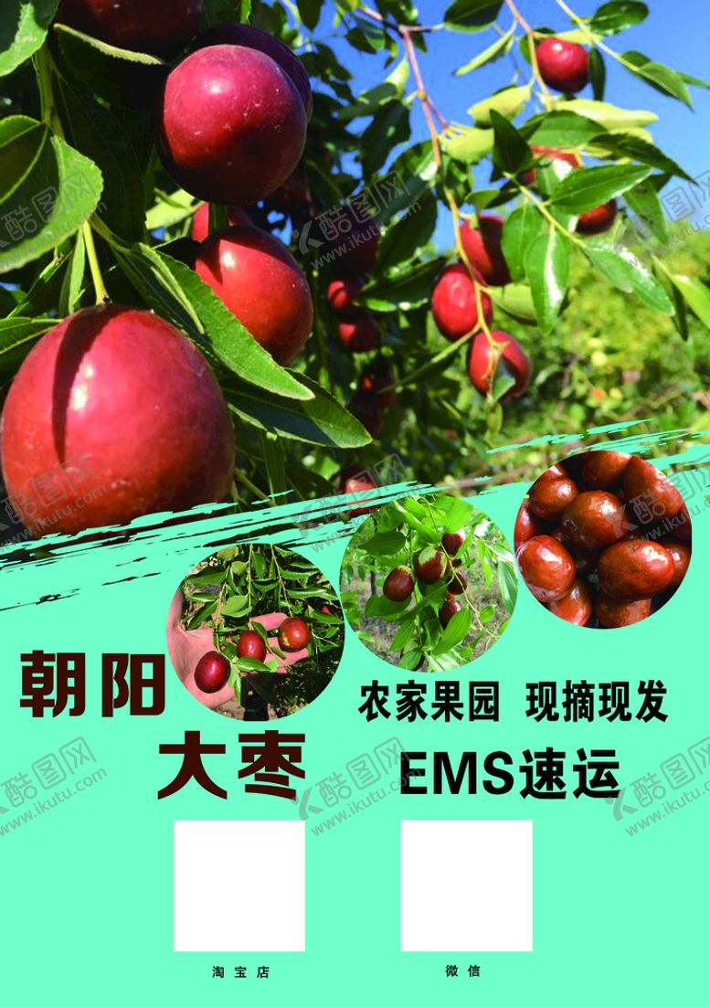 编号：56123710111814526759【酷图网】源文件下载-朝阳大枣单页