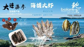 海参鲍鱼海报