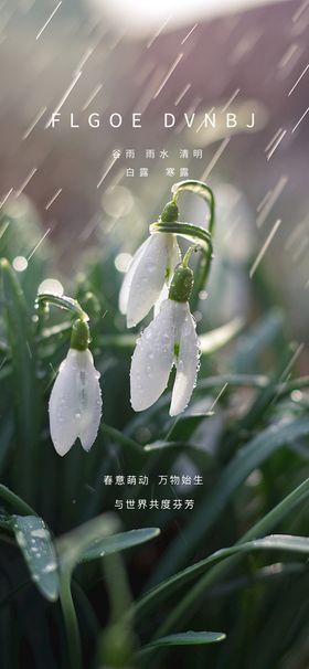 谷雨雨水