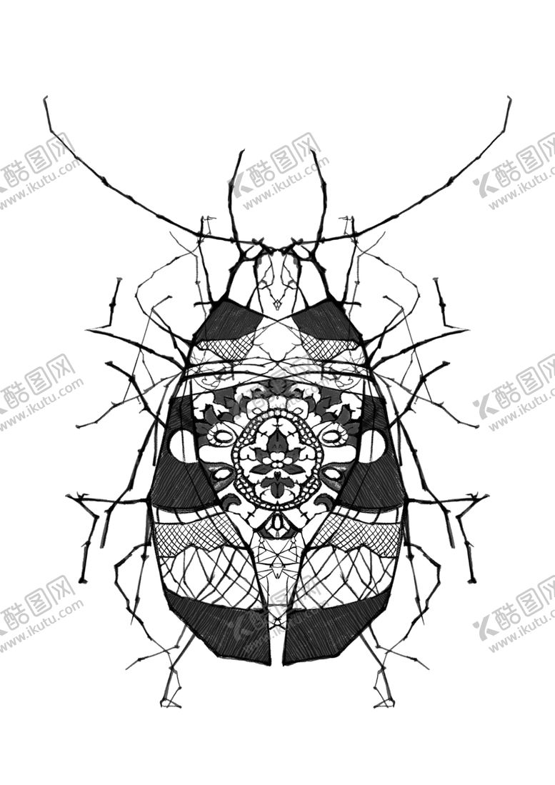 编号：38331404151704164955【酷图网】源文件下载-昆虫