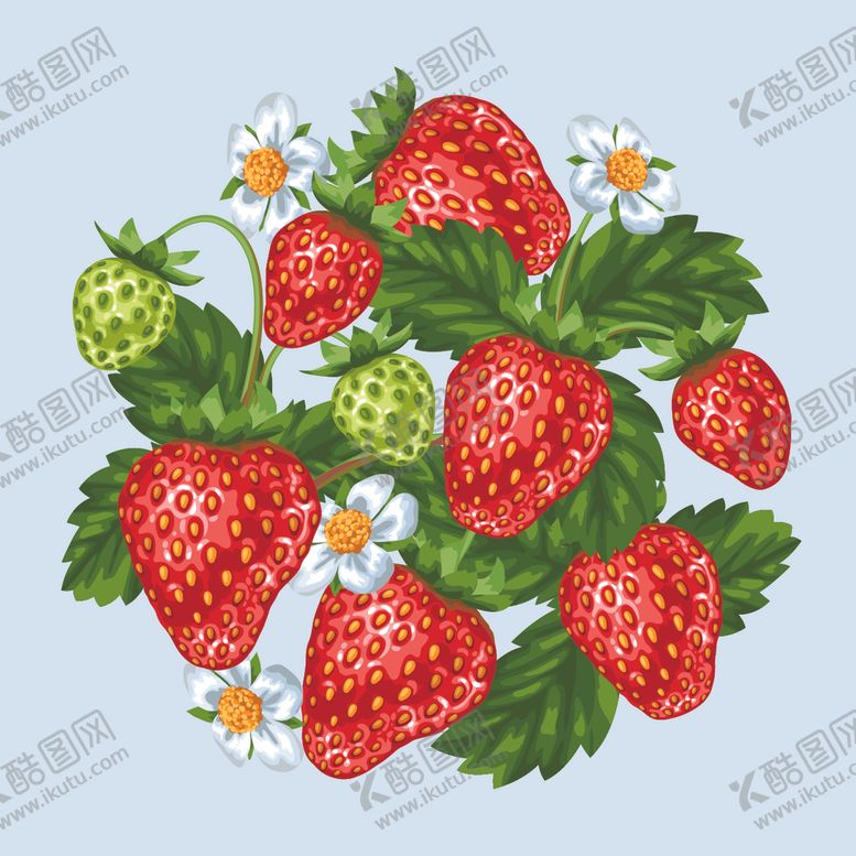 编号：78628105181206393733【酷图网】源文件下载-草莓