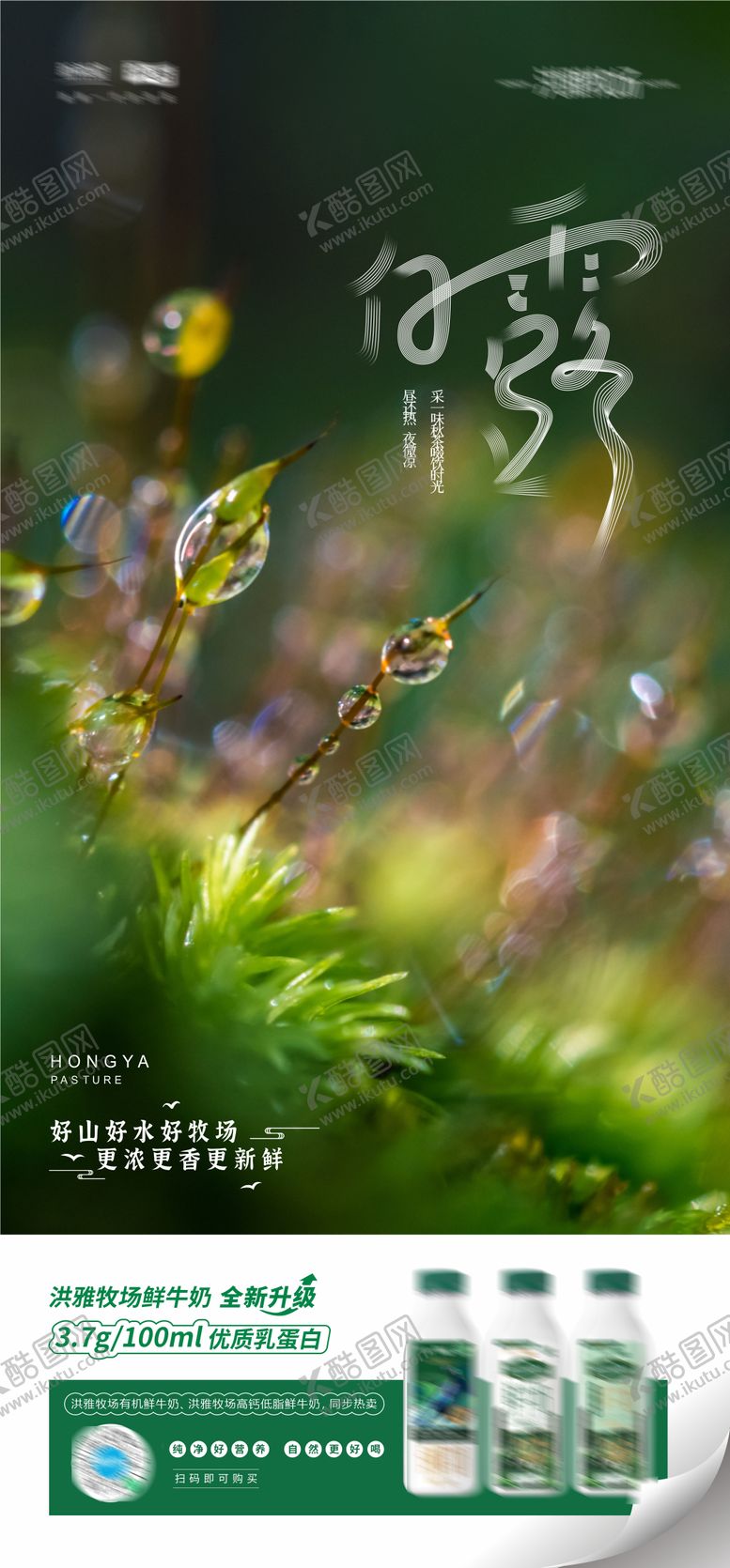 编号：50842212012334456608【酷图网】源文件下载-白露节气艺术海报