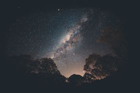 星空树木