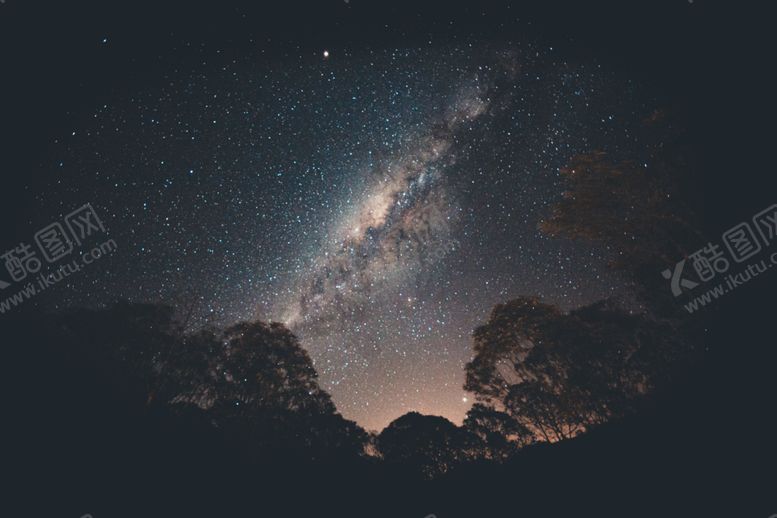 编号：63441006281122567551【酷图网】源文件下载-星空树木