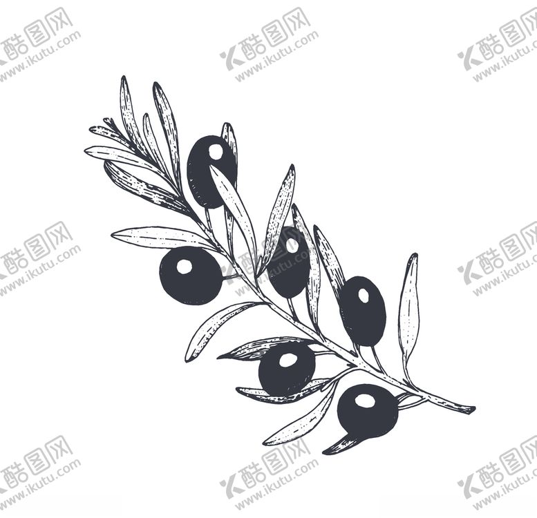 编号：37545410031536006099【酷图网】源文件下载-食物