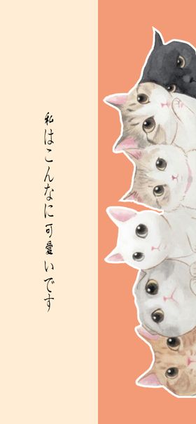 手机壁纸