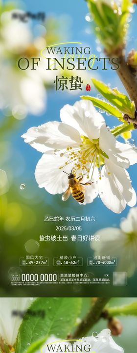 惊蛰节气海报马蜂系列春天摄影