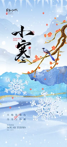 大寒海报
