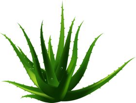 绿色装饰修植物背景免扣底纹