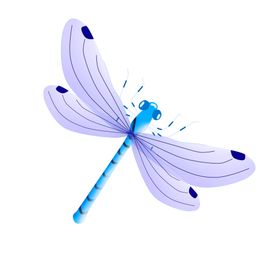 蜻蜓