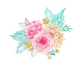 花卉素材