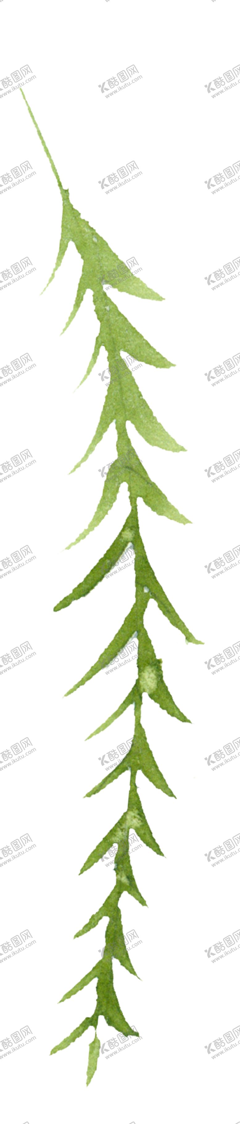 编号：79287801301225164825【酷图网】源文件下载-花叶 