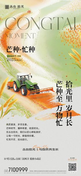 二十四节气芒种海报麦穗创意农田