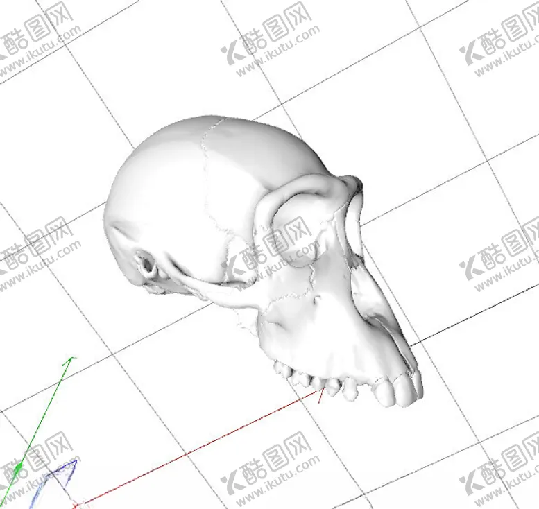 编号：88559202152143205425【酷图网】源文件下载-C4D模型头骨
