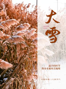 大雪促销微信素材展架