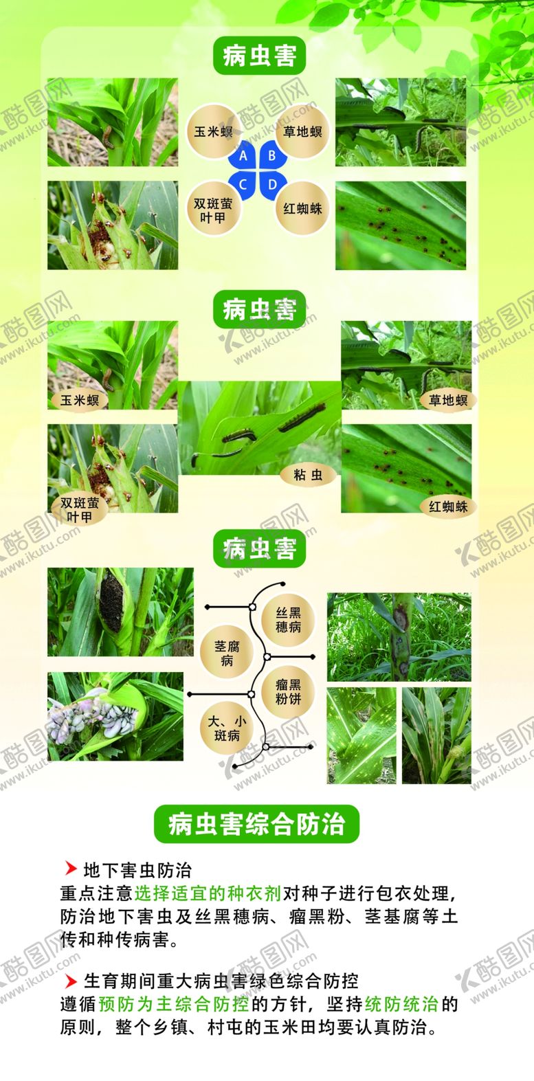 编号：68218902130719568238【酷图网】源文件下载-玉米病虫害展板
