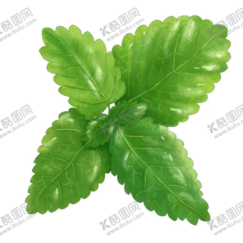 编号：34547712211702477201【酷图网】源文件下载-薄荷