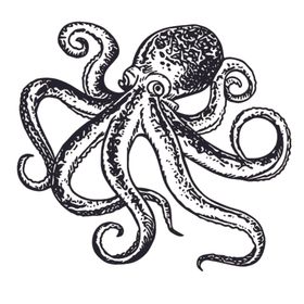 海洋生物鱼类图案