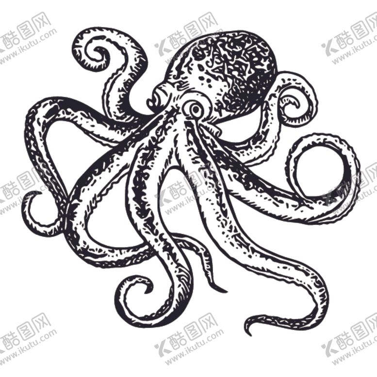 编号：88739110301421074486【酷图网】源文件下载-海洋生物鱼类图案