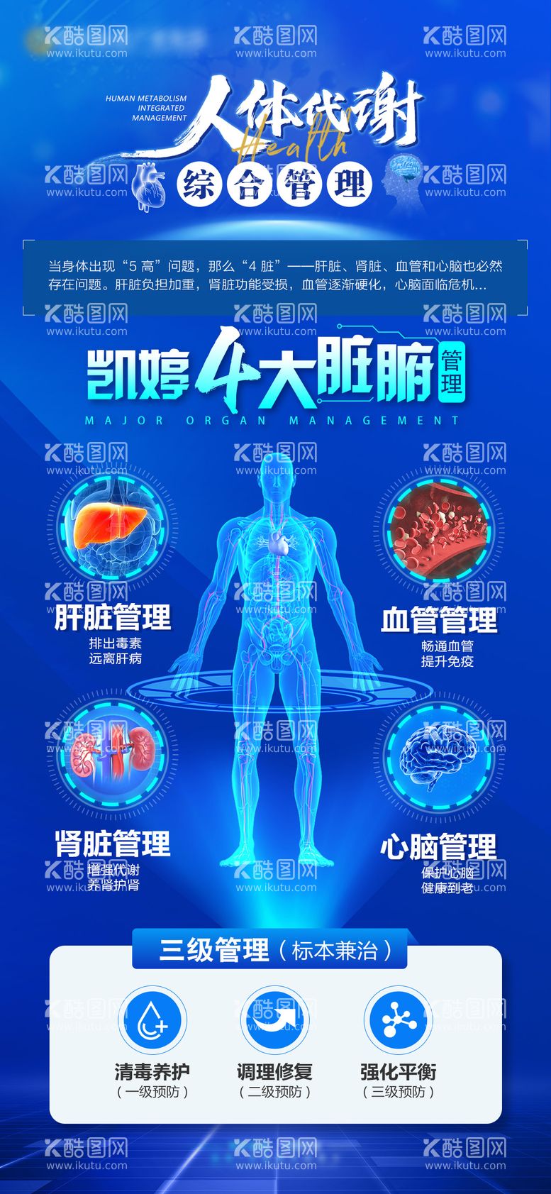 编号：64611012020802294537【酷图网】源文件下载-人体代谢海报