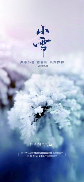 立冬小雪大雪小寒大寒海报