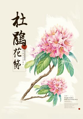 杜鹃花节旅行社海报