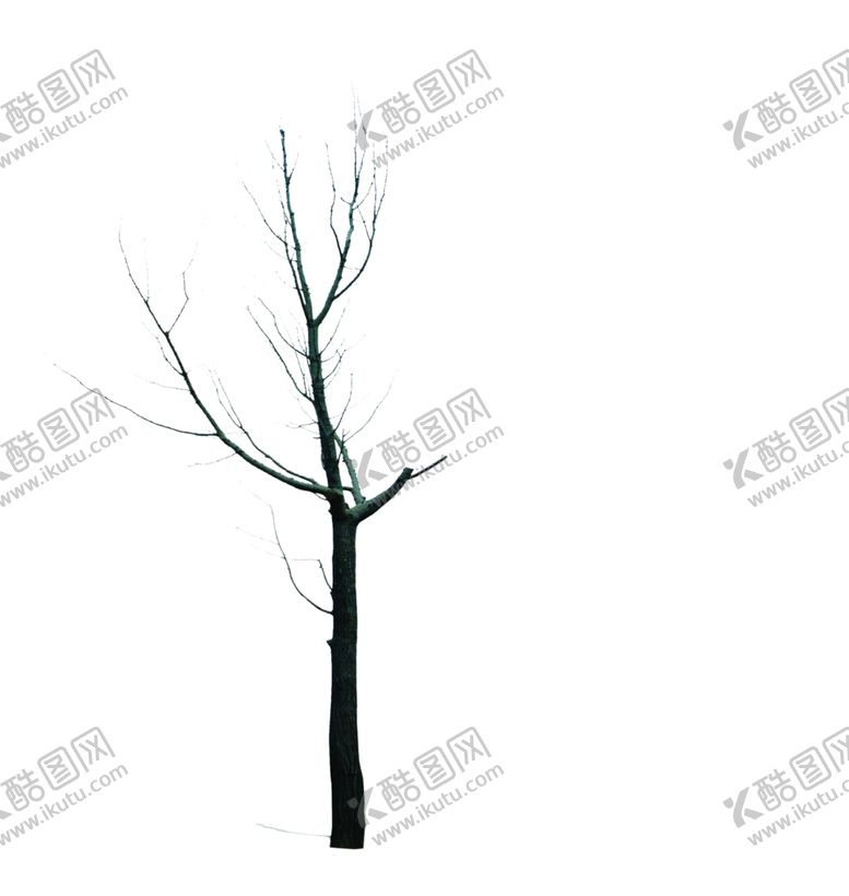 编号：73343509271915041021【酷图网】源文件下载-枯树干树