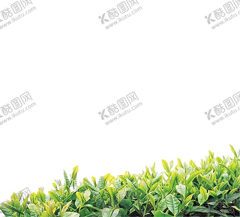 编号：68174407090550565739【酷图网】源文件下载-花边背景