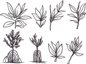 卡通植物叶子矢量图