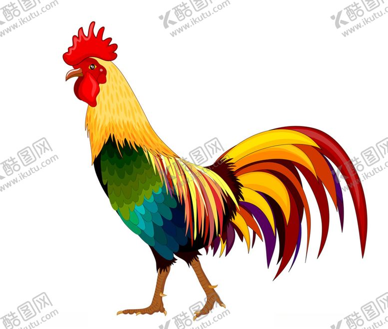 编号：34407109202129065705【酷图网】源文件下载-公鸡
