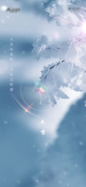 大雪